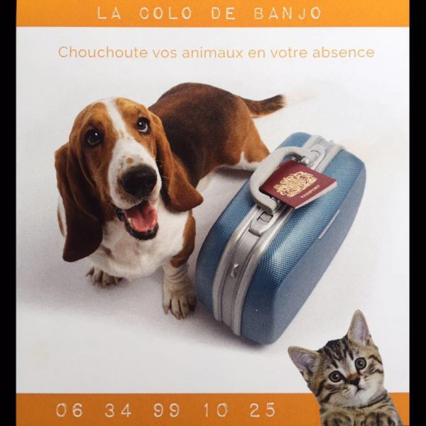 grossistegrandestailles.com recommande la colo de Banjo